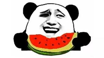 娱乐圈的瓜vs我吃的瓜图片,明星瓜与网友瓜，谁才是瓜王？